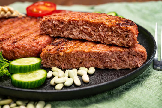Plant based protein products